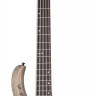 SCHECTER RIOT-5 Inferno Burst 5-струнная бас-гитара