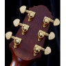 CRAFTER LX G-2000c акустическая гитара с кейсом