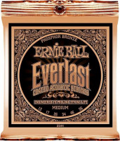 Комплект струн для акустической гитары Ernie Ball P02544, 13-56