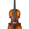 Prima P-300 4/4 скрипка в комплекте