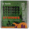 Электрогитара в наборе TERRIS TPACK-TST-040 SB