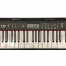 TERRIS TK-500 BK - СИНТЕЗАТОР