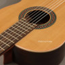 Perez 610 Cedar LTD 3/4 классическая гитара с чехлом