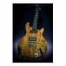 DEAN USA Hardtail SPM Exotic spalte электрогитара