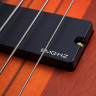 SCHECTER STILETTO STUDIO-4 HSN бас-гитара
