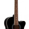 PHIL PRO AS-3904 BK акустическая гитара