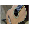 Гитара классическая 4/4 PEAVEY CNS-2
