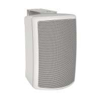 Акустическая система TANNOY AMS 5ICT LS-WH пассивная