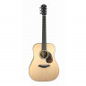 FURCH Blue D-SW акустическая гитара