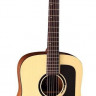 VGS B-10 Bayou Natural Satin акустическая гитара