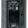Активная акустическая система EUROSOUND ES-5A