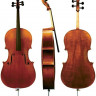 GEWA Maestro 6 4/4