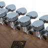 SCHECTER NICK JOHNSTON TRAD H/S/S AGRN электрогитара