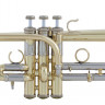 Труба Bach ADE190S Eb/D