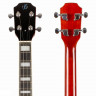 FLIGHT Centurion Tenor GT электро-укулеле с чехлом
