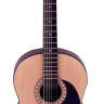 Hohner HW-200 акустическая гитара