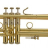 Труба Bb BACH LR190 43B Stradivarius "Artisan" (Reverse) кейс в комплекте