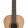 Angel Lopez C1147 S-CED 4/4 классическая гитара