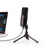 USB микрофон Zoom ZUM-2