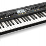 Синтезатор Behringer DEEPMIND 12  аналоговые VCF и VCA