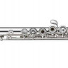 Флейта MIYAZAWA BR-602REH CUSTOM-1 "C" ми механика, французская система, кейс утепленный в комплекте