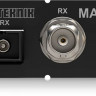 Плата расширения KLARK TEKNIK KT-MADI