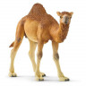 Фигурка Schleich Одногорбый верблюд