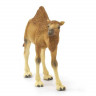 Фигурка Schleich Одногорбый верблюд