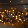 Гирлянда RICH LED RL-T20C2 / -Y