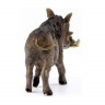 Фигурка Schleich Бородавочник