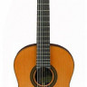 Aria A-50C 4/4 классическая гитара