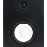 СТУДИЙНЫЕ МОНИТОРЫ AXELVOX PM-5A (ПАРА)