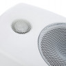 Монитор ближнего поля Genelec 8010AW активный 2-полосный