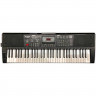 Синтезатор TERRIS TK-250 BK