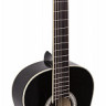 Aria AK-25 BK 4/4 классическая гитара