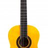 Гитара классическая ARIA FIESTA FST-200-53 N классическая 1/2 натуральный цвет