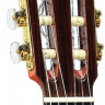 PEREZ 670 Spruce 4/4 классическая гитара