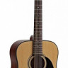 Martinez FAW-802-12 N акустическая гитара