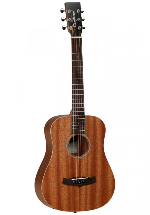 Акустическая гитара TANGLEWOOD TW2 T travel Size Orchestra Model