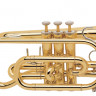 Труба CERVENY CTR 313BR-OT Bb