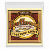 ERNIE BALL 2010 (9-46) струны для акустической гитары