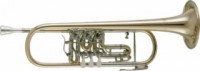 Труба CERVENY CTR 701RY-O Bb