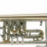 Труба CERVENY CTR 701RY-O Bb