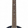 STAGG BJM30 G банджо 6 струн