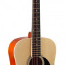 COLOMBO LF-3801/N акустическая гитара