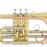 Корнет ROY BENSON СR-202