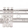 Труба Conn 1BSP Bb