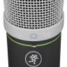 Конденсаторный USB-микрофон ISK AT-100 USB с широкой мембраной, цвет никель