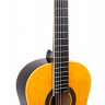 Aria Fiesta FST-200 N 4/4 классическая гитара