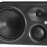 NEUMANN KH 310 A R G правый 3-полосный активный студийный монитор